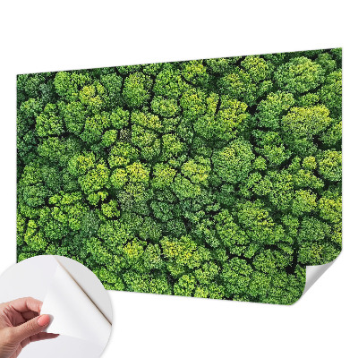 Samolepicí fototapeta do dětského pokoje Lesní panorama