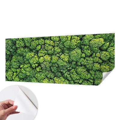 Samolepicí fototapeta do dětského pokoje Lesní panorama