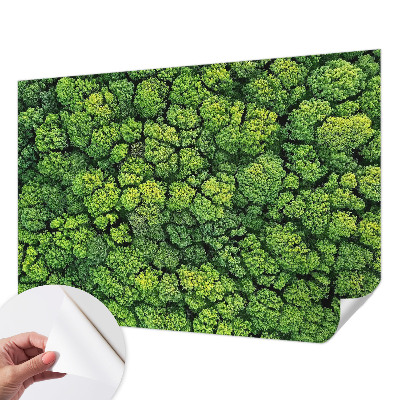 Samolepicí fototapeta do dětského pokoje Lesní panorama