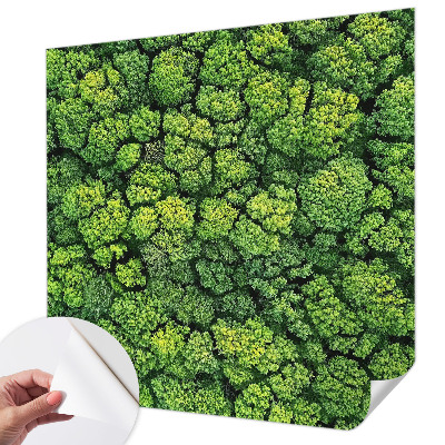 Samolepicí fototapeta do dětského pokoje Lesní panorama