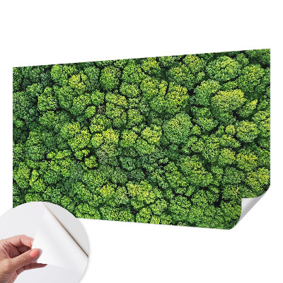 Samolepicí fototapeta do dětského pokoje Lesní panorama