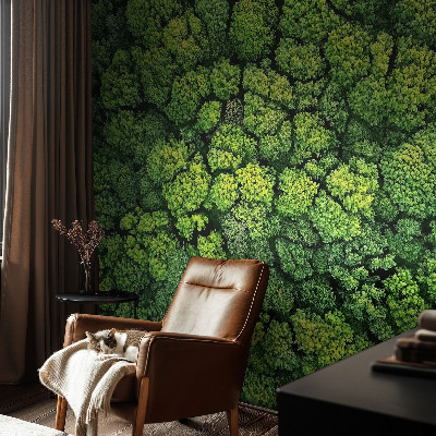 Samolepicí fototapeta do dětského pokoje Lesní panorama