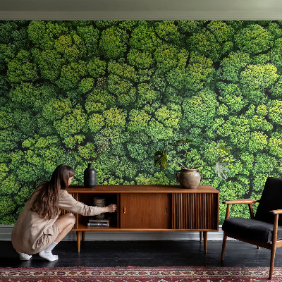 Samolepicí fototapeta do dětského pokoje Lesní panorama