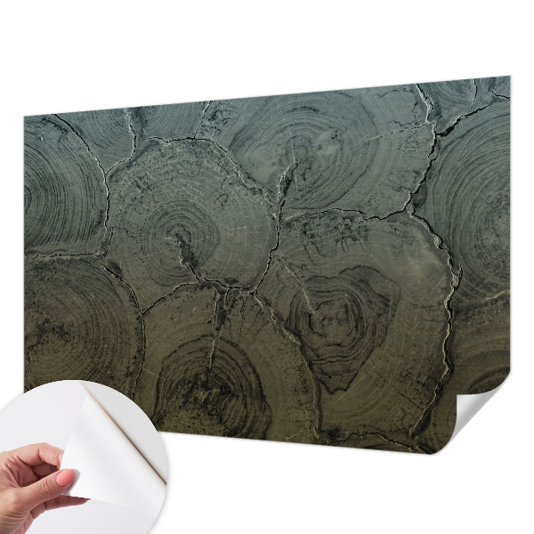 Samolepicí fototapeta do obýváků Dřevěné kroužky