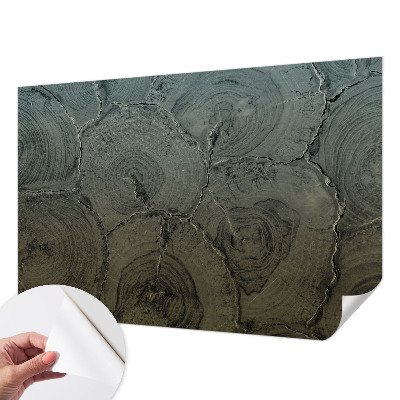 Samolepicí fototapeta do obýváků Dřevěné kroužky