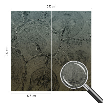 Samolepicí fototapeta do obýváků Dřevěné kroužky