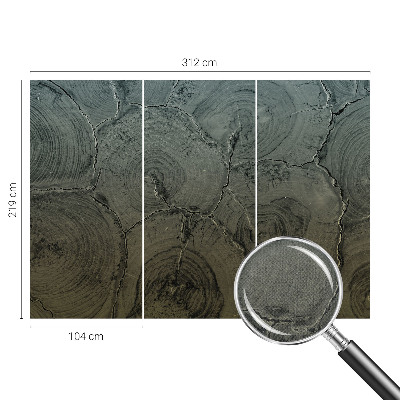 Samolepicí fototapeta do obýváků Dřevěné kroužky