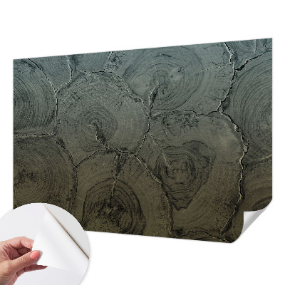 Samolepicí fototapeta do obýváků Dřevěné kroužky