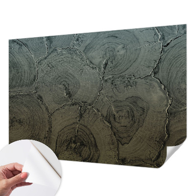 Samolepicí fototapeta do obýváků Dřevěné kroužky