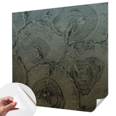 Samolepicí fototapeta do obýváků Dřevěné kroužky