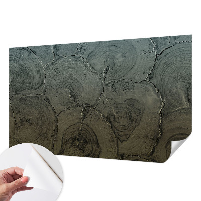 Samolepicí fototapeta do obýváků Dřevěné kroužky