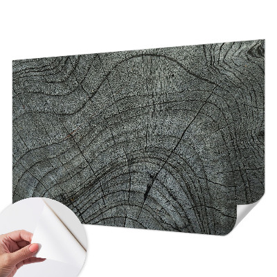 Samolepicí fototapeta na zeď Vzor zrna