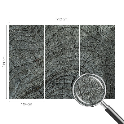 Samolepicí fototapeta na zeď Vzor zrna