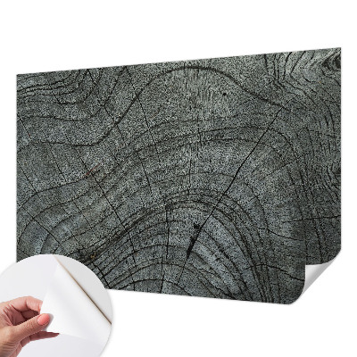 Samolepicí fototapeta na zeď Vzor zrna