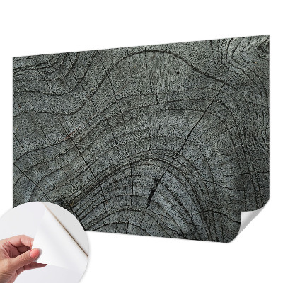 Samolepicí fototapeta na zeď Vzor zrna