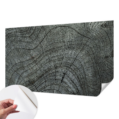 Samolepicí fototapeta na zeď Vzor zrna