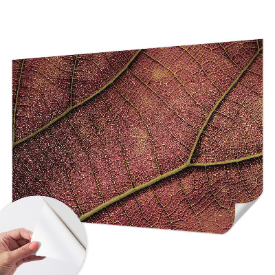 Fototapeta do dětského pokoje Listová textura