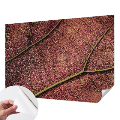 Fototapeta do dětského pokoje Listová textura