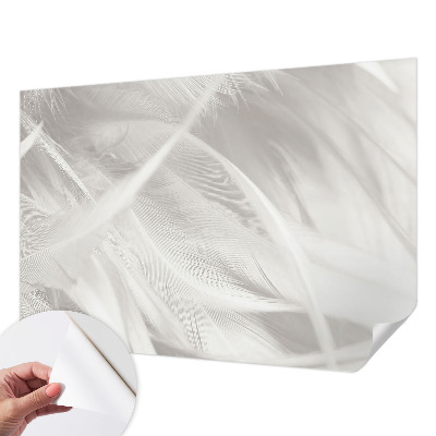 Samolepící fototapeta 3d Jemné peří