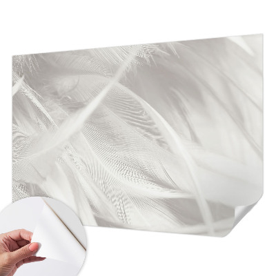 Samolepící fototapeta 3d Jemné peří