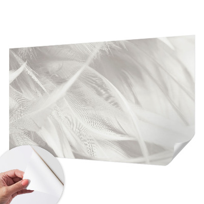 Samolepící fototapeta 3d Jemné peří
