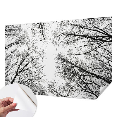 Samolepicí fototapeta do dětského pokoje Holé větve