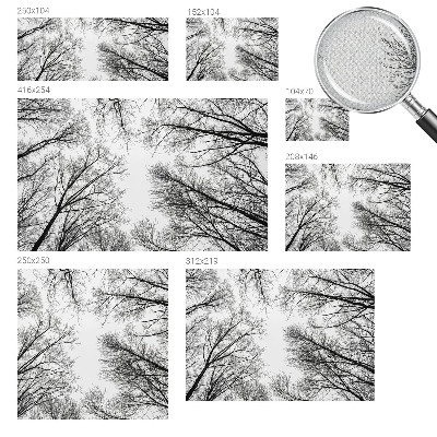 Samolepicí fototapeta do dětského pokoje Holé větve