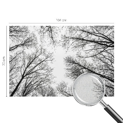 Samolepicí fototapeta do dětského pokoje Holé větve