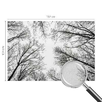 Samolepicí fototapeta do dětského pokoje Holé větve