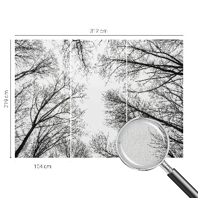 Samolepicí fototapeta do dětského pokoje Holé větve