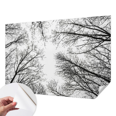 Samolepicí fototapeta do dětského pokoje Holé větve