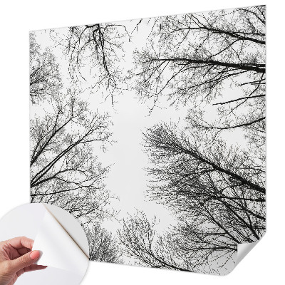 Samolepicí fototapeta do dětského pokoje Holé větve