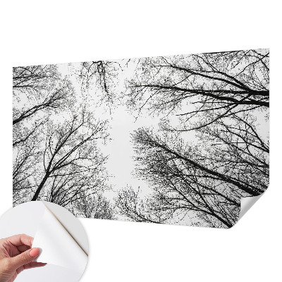 Samolepicí fototapeta do dětského pokoje Holé větve