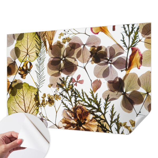 Fotografická tapeta na zeď Přírodní složení