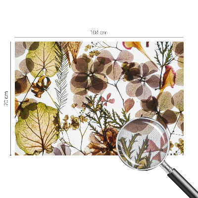 Fotografická tapeta na zeď Přírodní složení