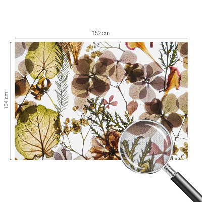 Fotografická tapeta na zeď Přírodní složení