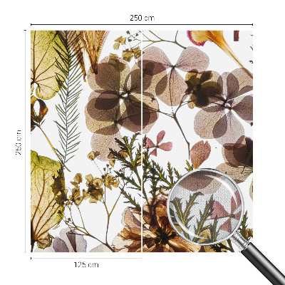 Fotografická tapeta na zeď Přírodní složení