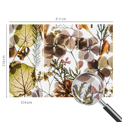 Fotografická tapeta na zeď Přírodní složení