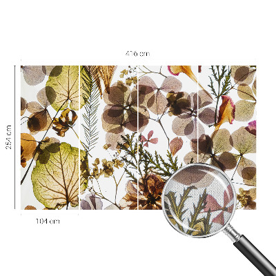 Fotografická tapeta na zeď Přírodní složení