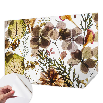 Fotografická tapeta na zeď Přírodní složení