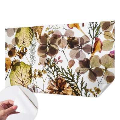 Fotografická tapeta na zeď Přírodní složení