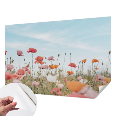Samolepící fototapeta 3d Květy máku