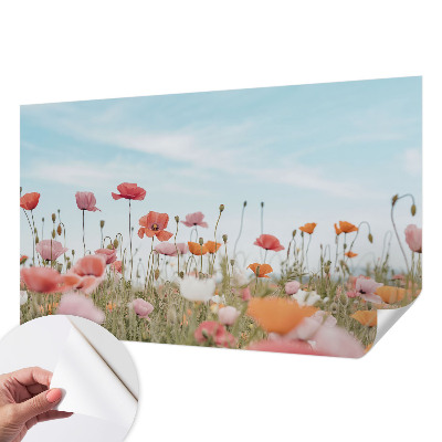 Samolepící fototapeta 3d Květy máku