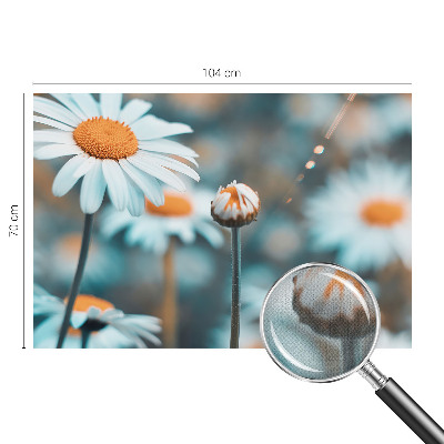 Fotografická tapeta samolepicí Heřmánková pochoutka