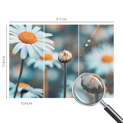 Fotografická tapeta samolepicí Heřmánková pochoutka