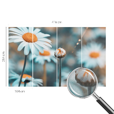 Fotografická tapeta samolepicí Heřmánková pochoutka