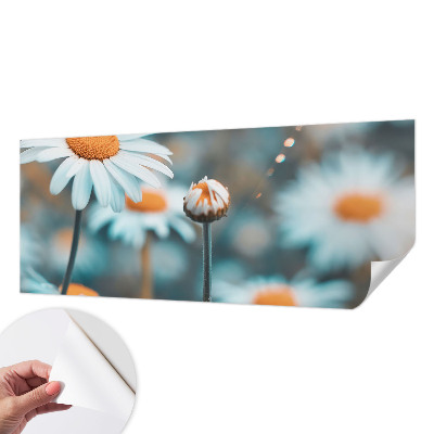 Fotografická tapeta samolepicí Heřmánková pochoutka