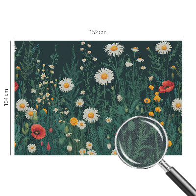 Fototapeta do dětského pokoje Luční květiny