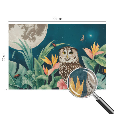 Fototapeta pro holku Měsíční safari