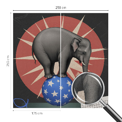 Samolepicí fototapeta Cirkusový slon
